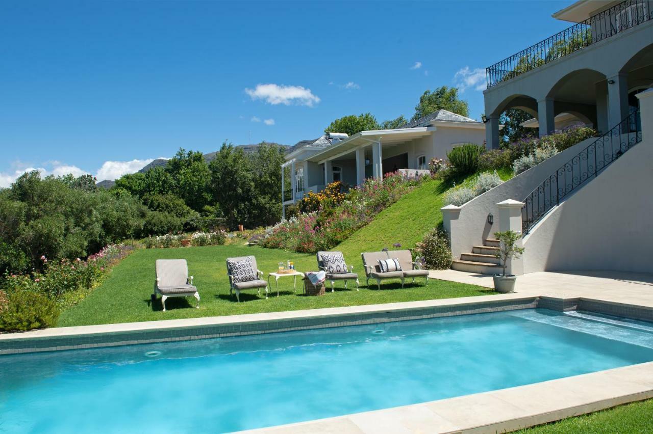 Le Vine Constantia